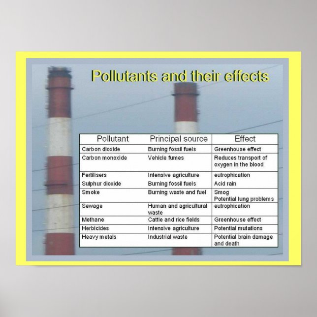 Science,  Chemistry, Pollutants and their effects Poster (Front)