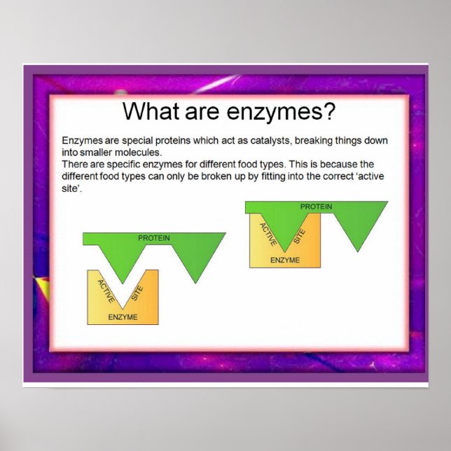 Science, Digestion, Enzymes at work Poster (Front)