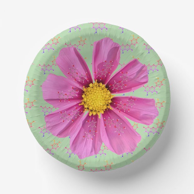 Science Garden Party Molecule Bowls Paper Plate (Front)