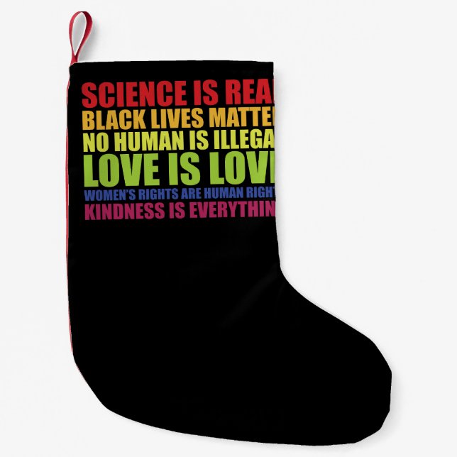 Science Is Real Black Lives Matter LGBT Pride  Small Christmas Stocking (Front)