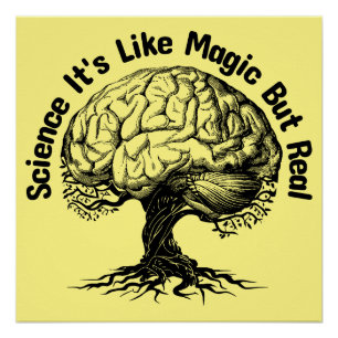 science it's like magic but real poster