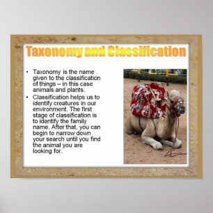Science, Life science, Taxenomy and Classification Poster