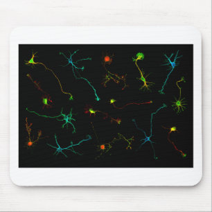 science mouse mat