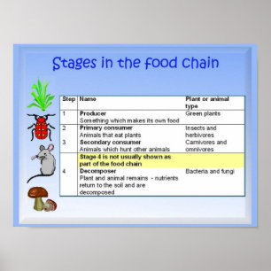 Science, Nutrition, Stages in the food chain Poster