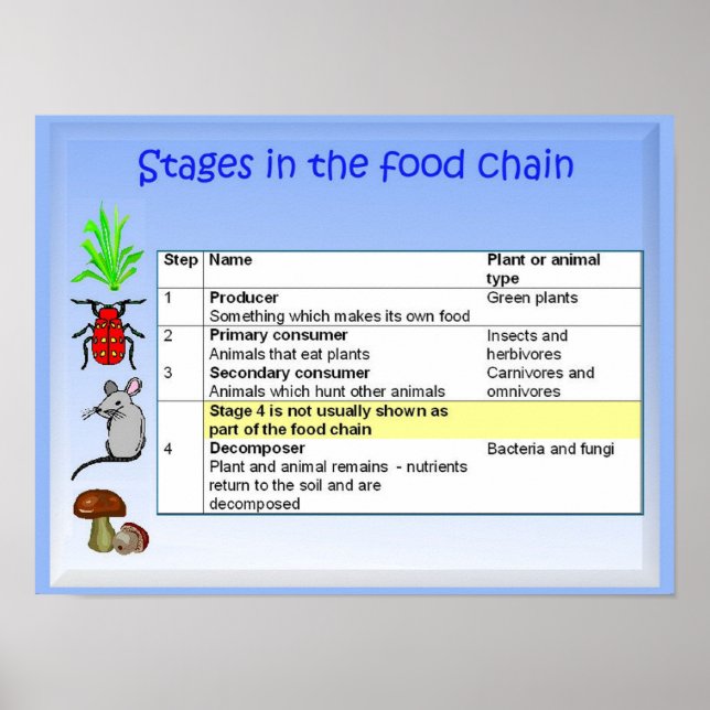 Science, Nutrition, Stages in the food chain Poster (Front)