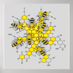 Science of honey and bees  gift for bee lover poster