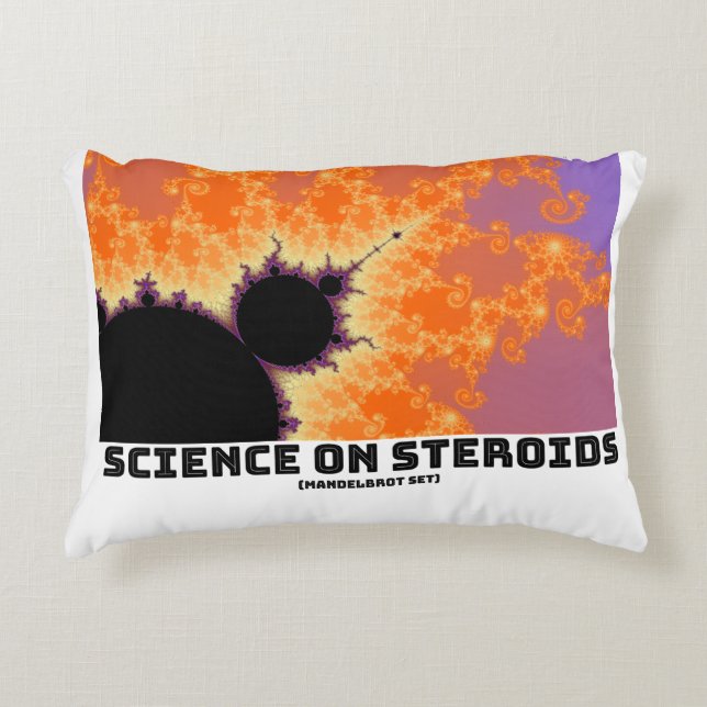 Science On Steroids Mandelbrot Fractal Decorative Cushion (Front)