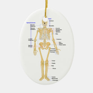 Science Teacher Christmas Ornament