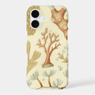 Science Textbook Biology, Vintage Coral Animals