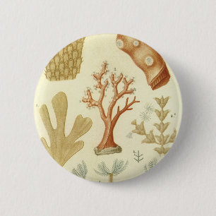 Science Textbook Biology, Vintage Coral Animals 6 Cm Round Badge