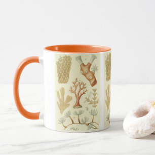 Science Textbook Biology, Vintage Coral Animals Mug