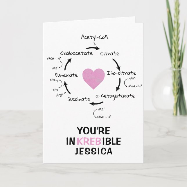Science Valentine Kreb's Cycle Biology Heart Geek Holiday Card (Front)