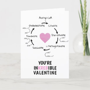 Science Valentine Kreb's Cycle Biology Heart Geek Holiday Card