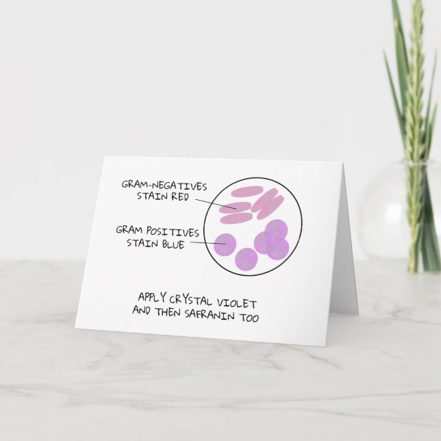 Science Valentine Microbiology Gram Stain Poem Lab Holiday Card (Front)