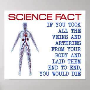 Science Veins Funny Poster