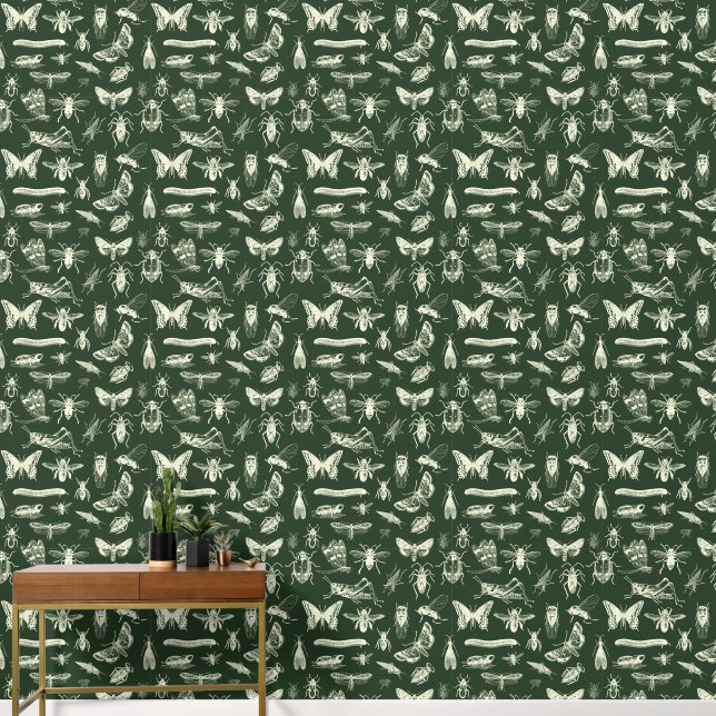 Scientific Antique Bugs Insects Cream Wallpaper (Hallway)