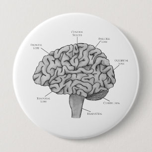 Scientific Brain 10 Cm Round Badge