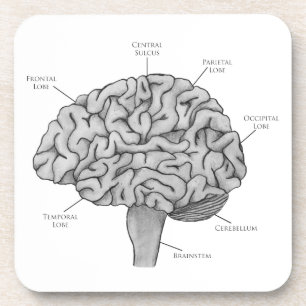 Scientific Brain Coaster