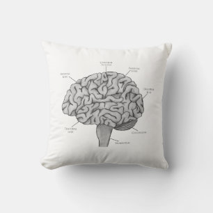 Scientific Brain Cushion