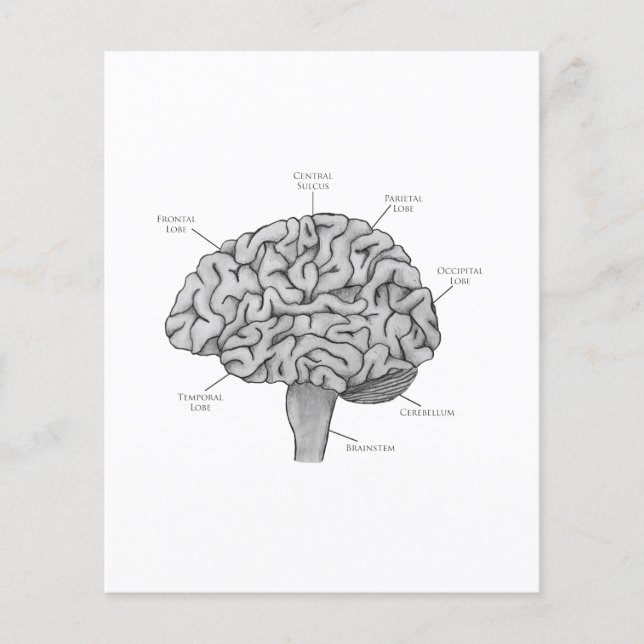 Scientific Brain Flyer (Front)