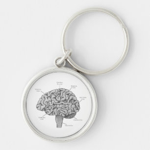 Scientific Brain Key Ring