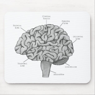 Scientific Brain Mouse Mat