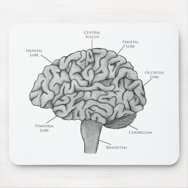 Scientific Brain Mouse Mat (Front)