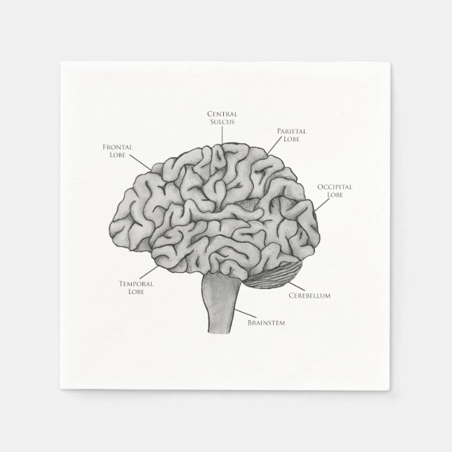 Scientific Brain Napkin (Front)