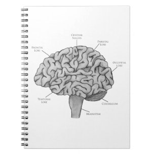 Scientific Brain Notebook