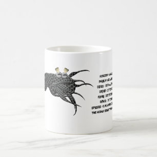 Scientific classification for the octopus vulgaris coffee mug