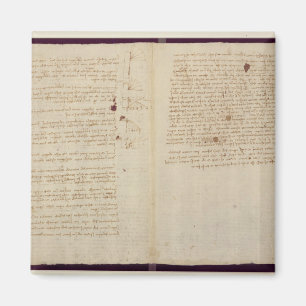 Scientific diagrams magnet