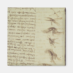 Scientific diagrams magnet