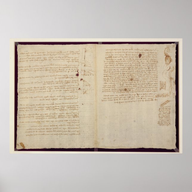 Scientific diagrams poster (Front)