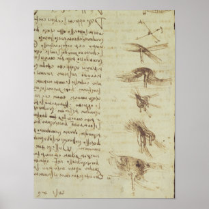 Scientific diagrams poster