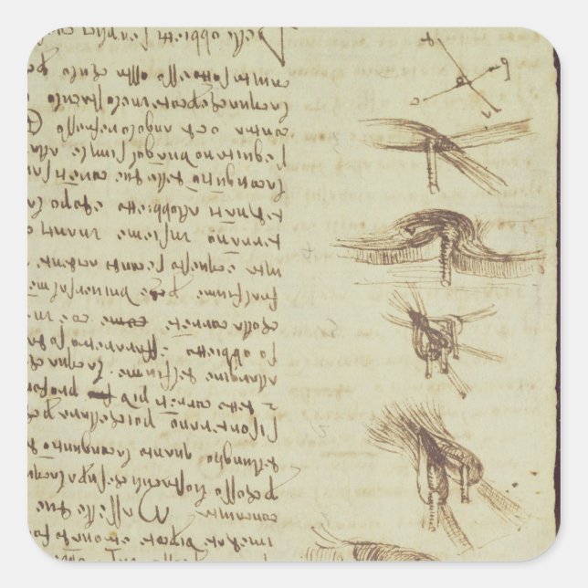 Scientific diagrams square sticker (Front)