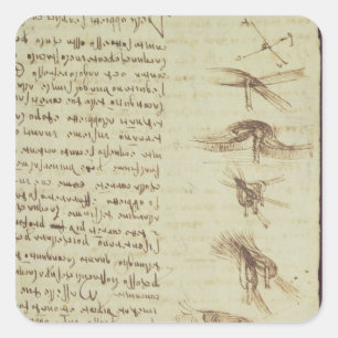 Scientific diagrams square sticker