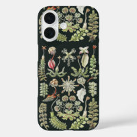 Scientific Nature Art Ernst Haeckel Liverworts