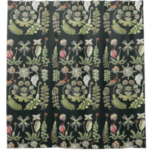 Scientific Nature Art Ernst Haeckel Liverworts Shower Curtain