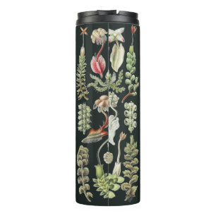 Scientific Nature Art Ernst Haeckel Liverworts Thermal Tumbler