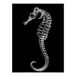 Scientific Seahorse Skeleton Poster