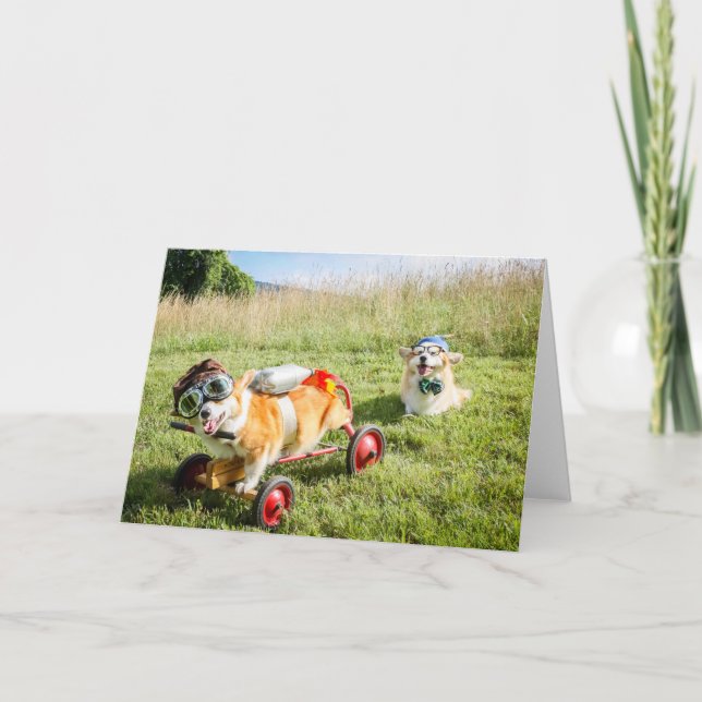 Scientist Corgis on a Hill blank greeting Card (Front)