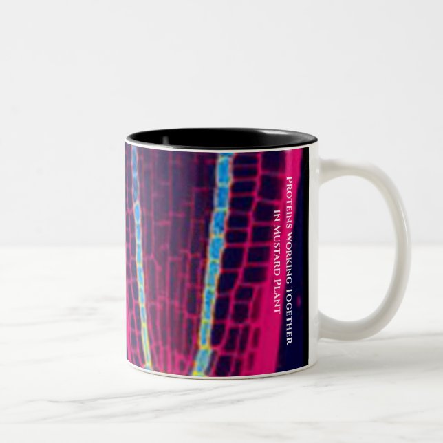 Scientists Say ... Alberts and Protein Image Two-Tone Coffee Mug (Right)