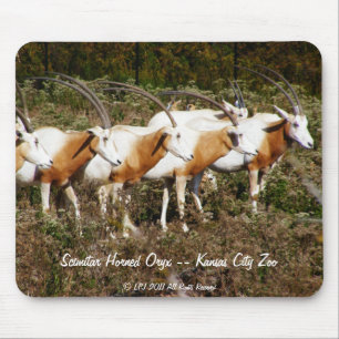 Scimitar Horned Oryx mousepad