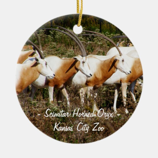 Scimitar Horned Oryx Ornament (Front)