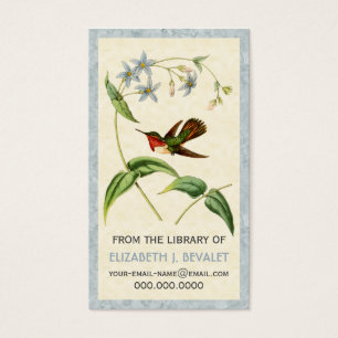 Scintillant Hummingbird Personalised Media Cards