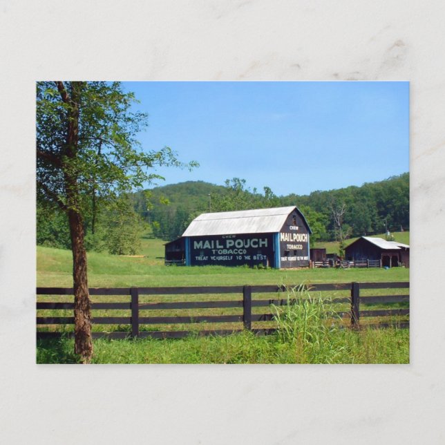 Scioto County Mailpouch Barn Postcard (Front)
