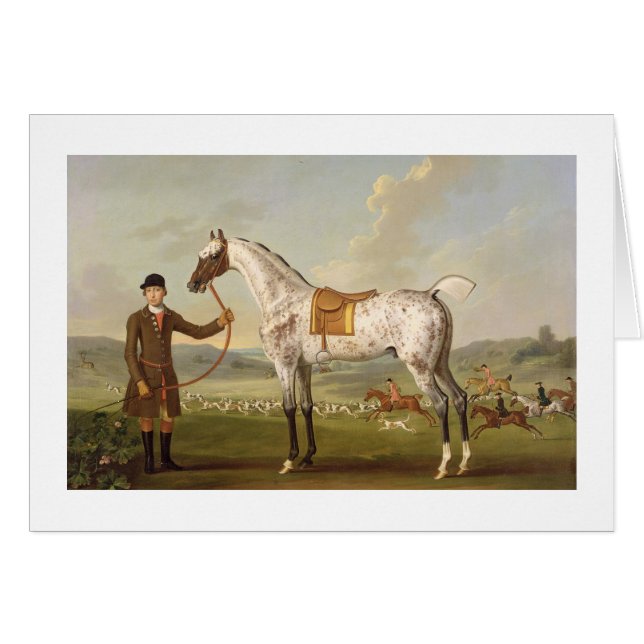 Scipio, Colonel Roche's Spotted Hunter, c.1750 (oi (Front Horizontal)