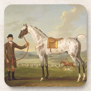 Scipio, Colonel Roche's Spotted Hunter, c.1750 (oi Coaster