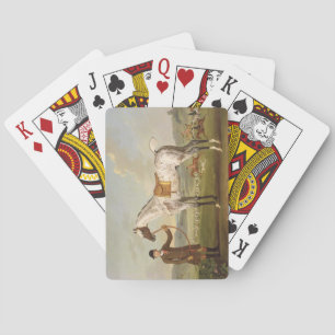 Scipio, Colonel Roche's Spotted Hunter, c.1750 (oi Playing Cards