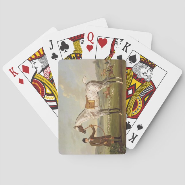 Scipio, Colonel Roche's Spotted Hunter, c.1750 (oi Playing Cards (Back)